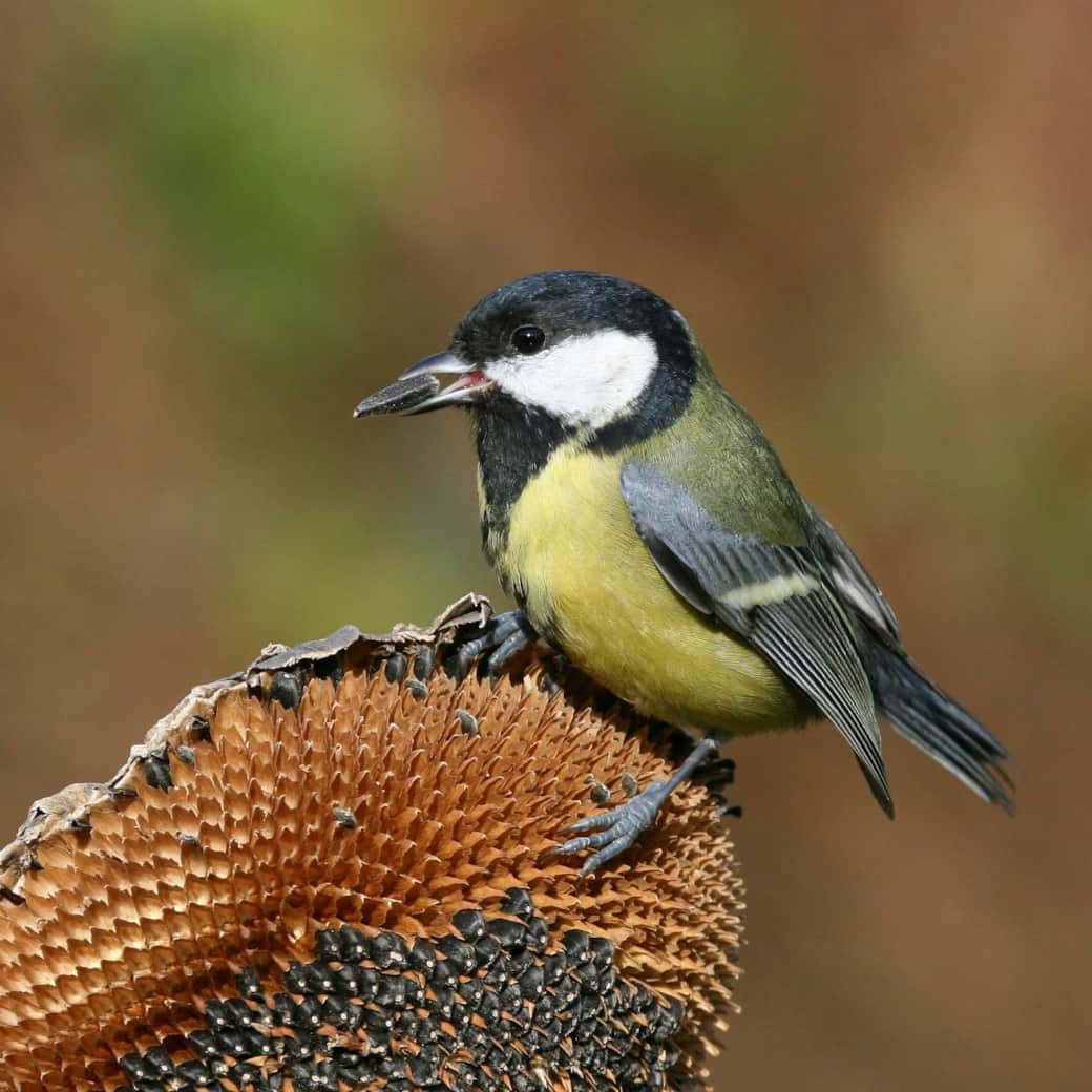 130455753 10156521587037614 7029252987699739783 n 130455753 10156521587037614 7029252987699739783 n