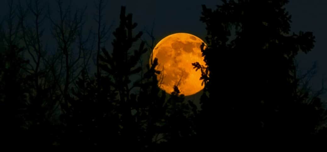 Wow..! Magic moon