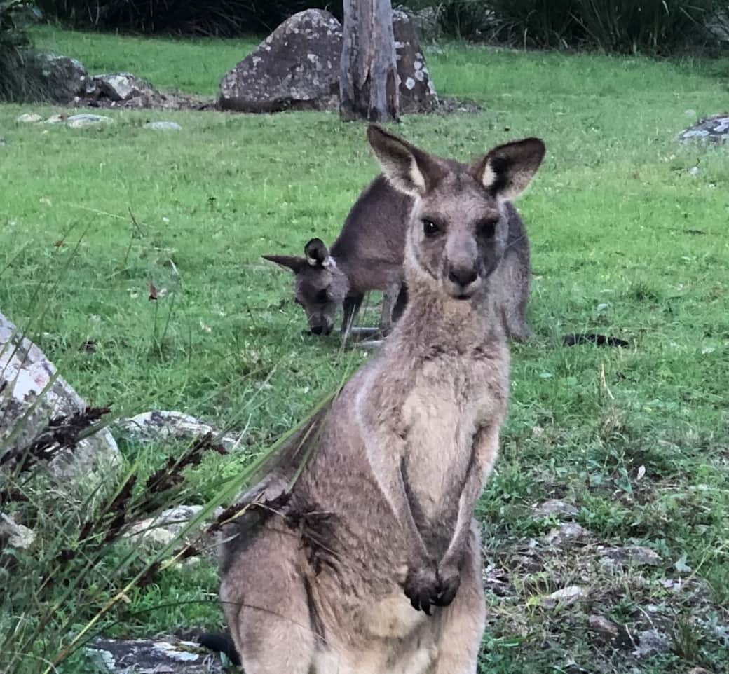 Native visitors welcome