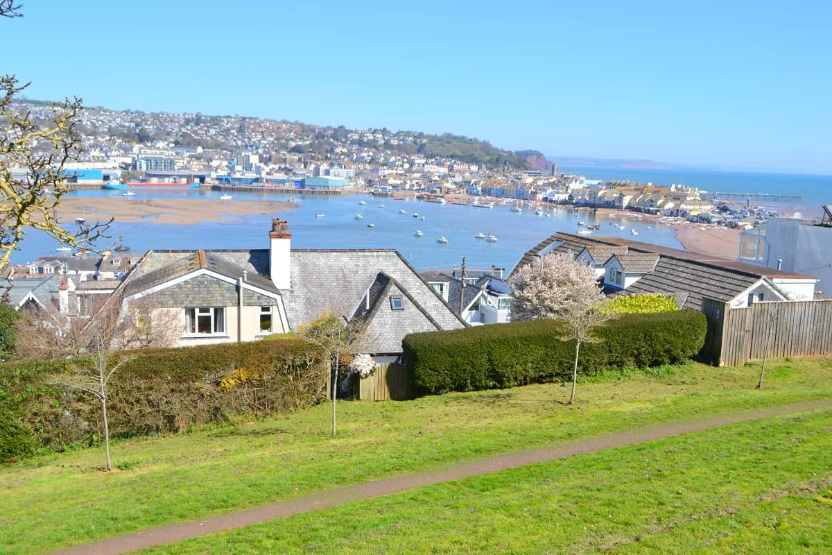 From botanic gardens - Copy