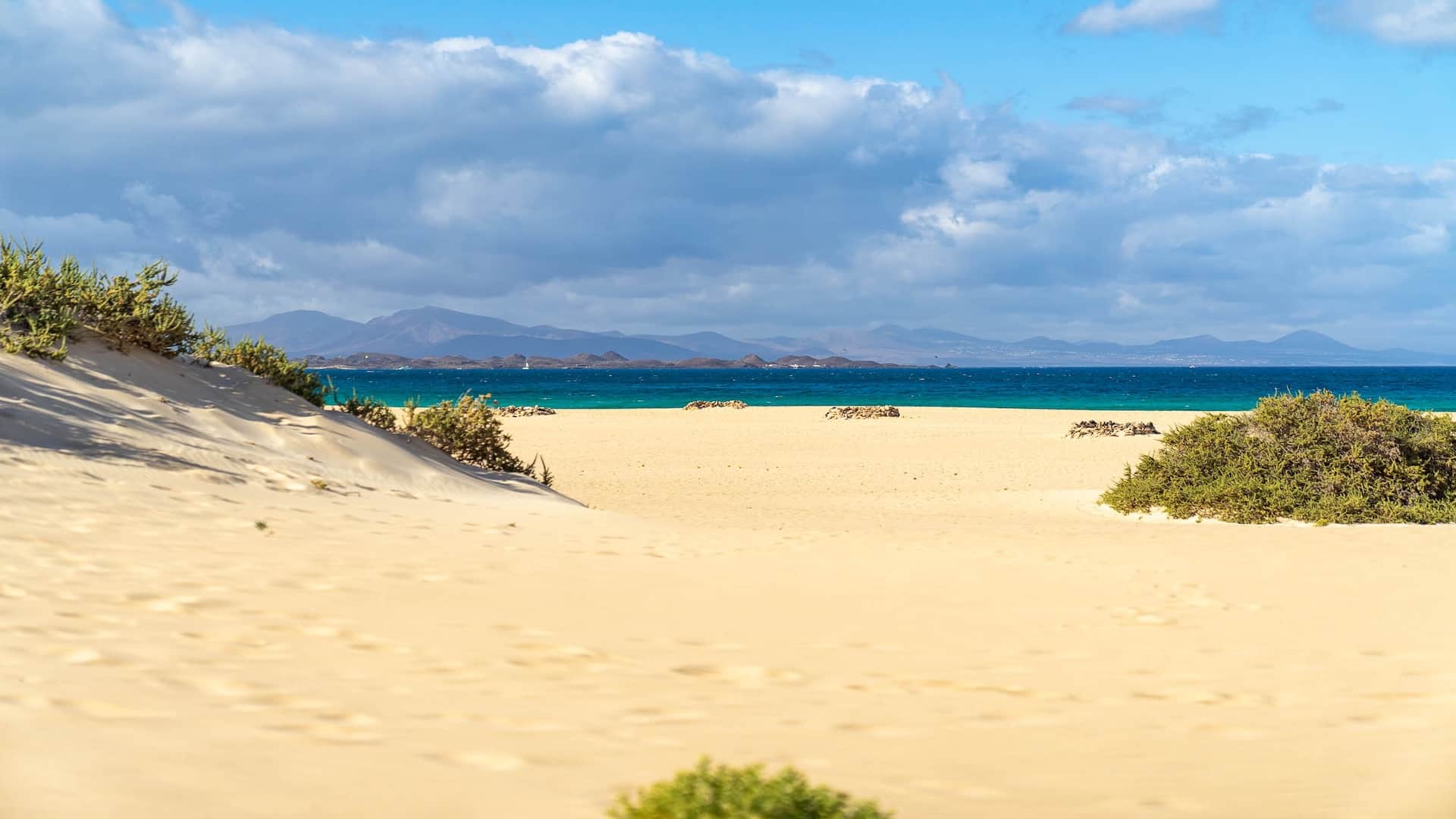 Grandes Playas of Corralejo