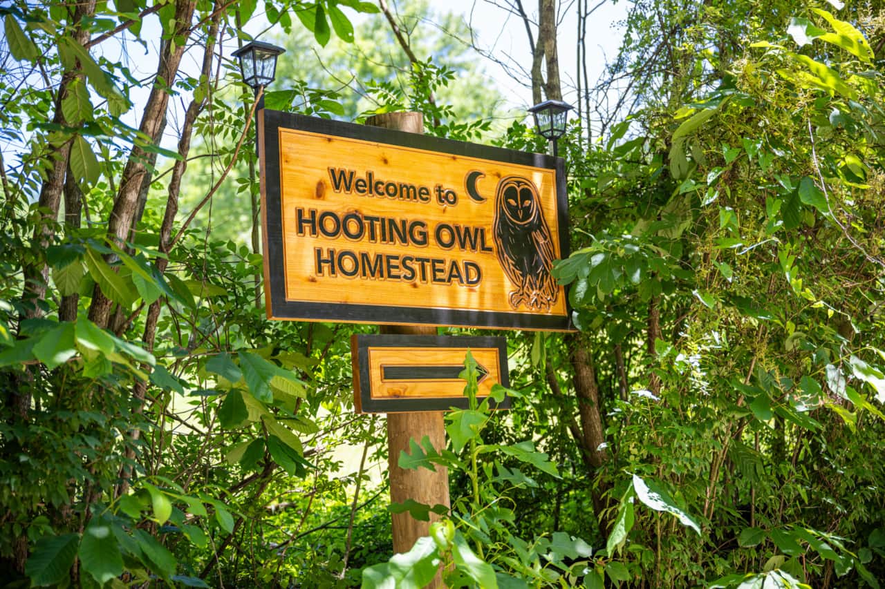 Entrance to the homestead