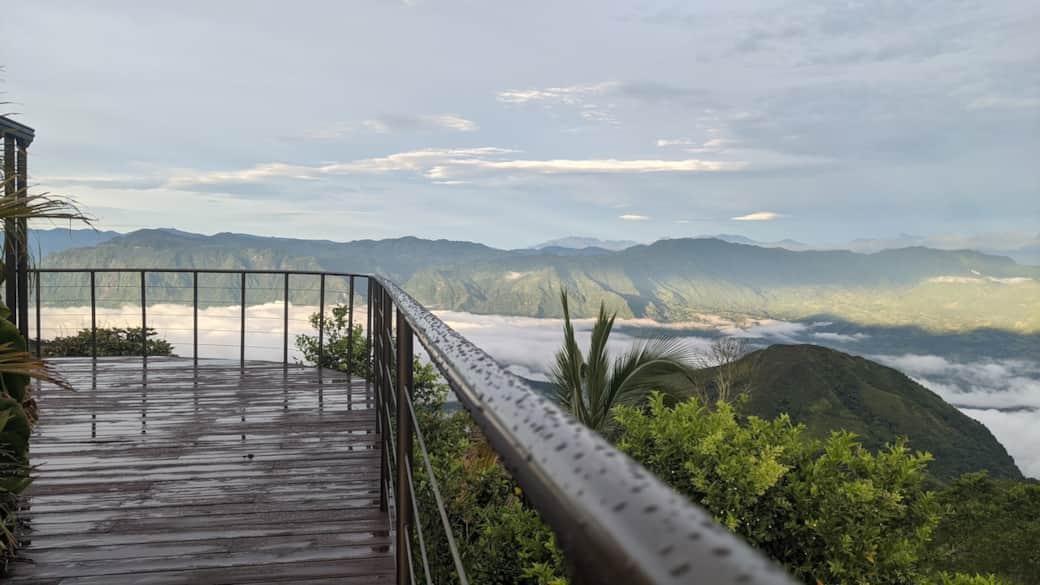 Deck View