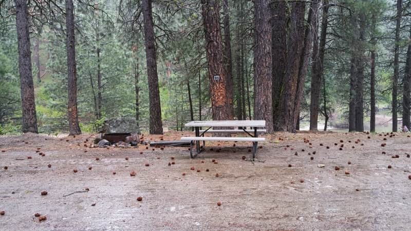 Campsite 35