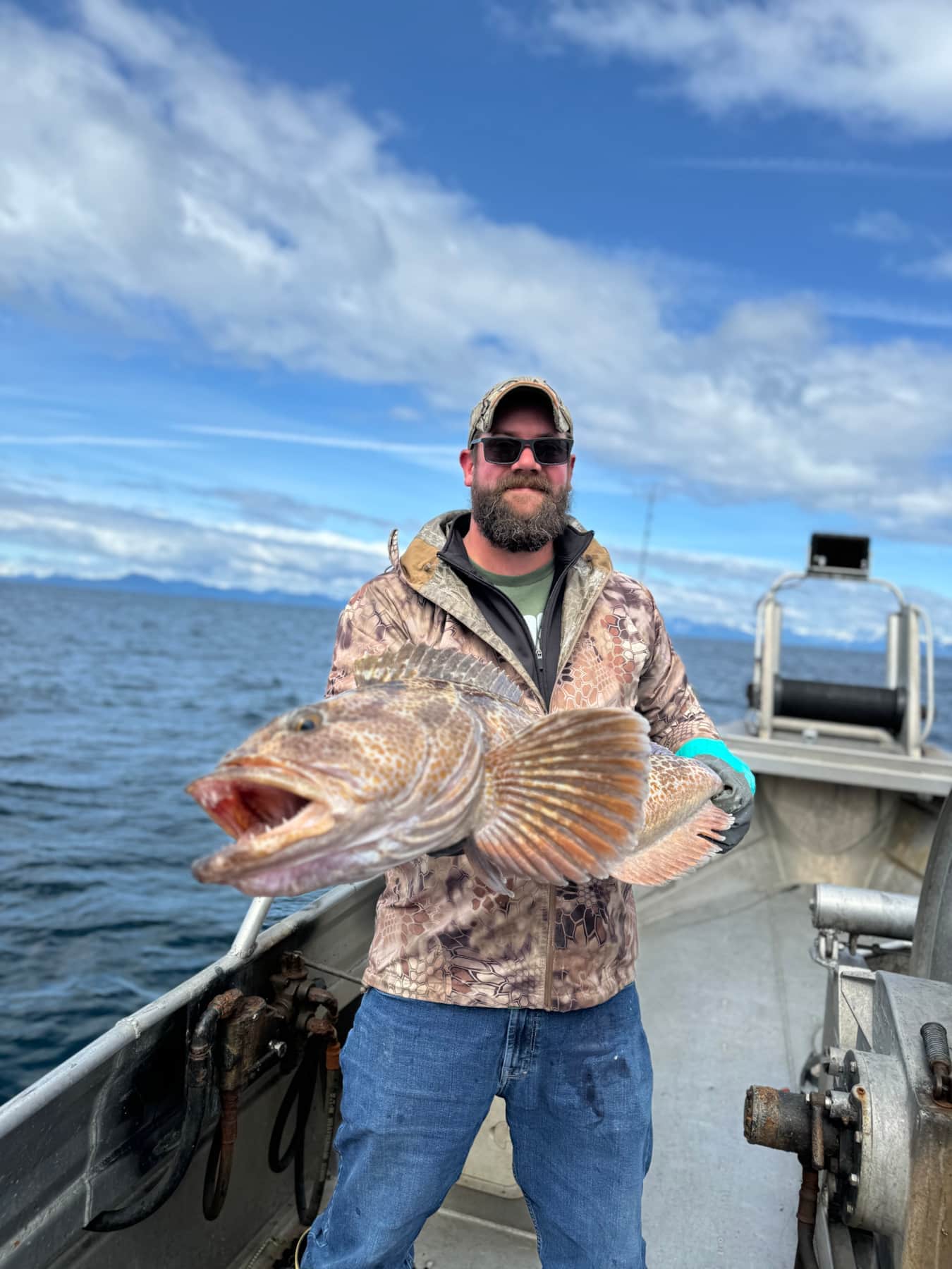 justins lingcod
