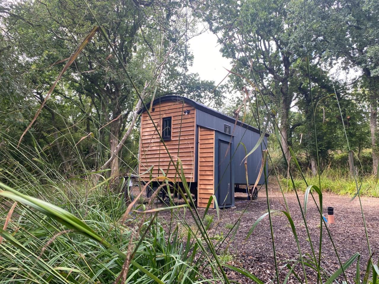 Bluebell Wood Shepherd's Hut
