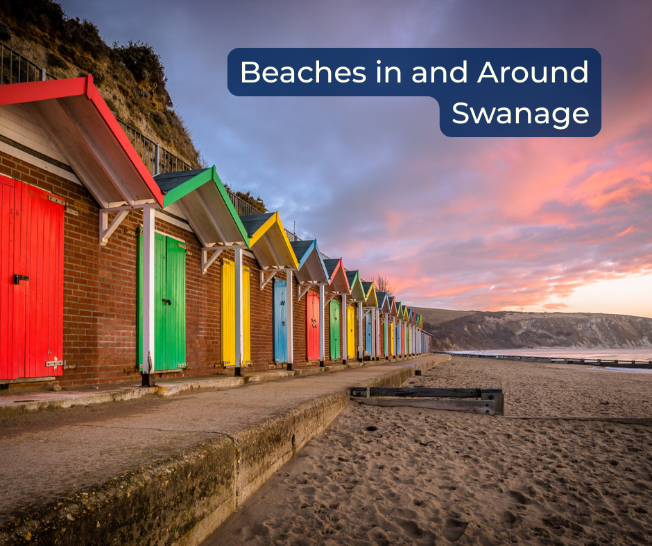 Beaches in and Around Swanage