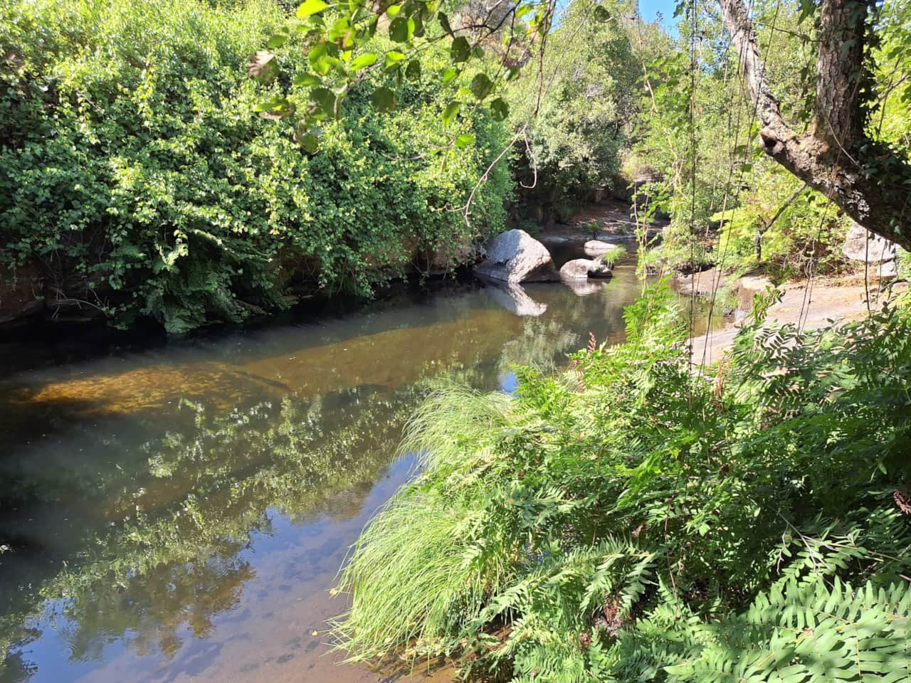 Rivier