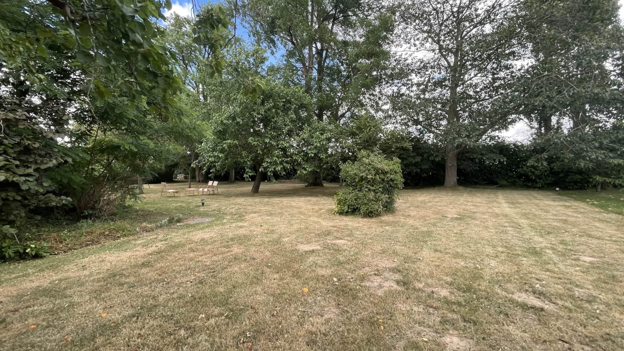 Jardin 1.jpg