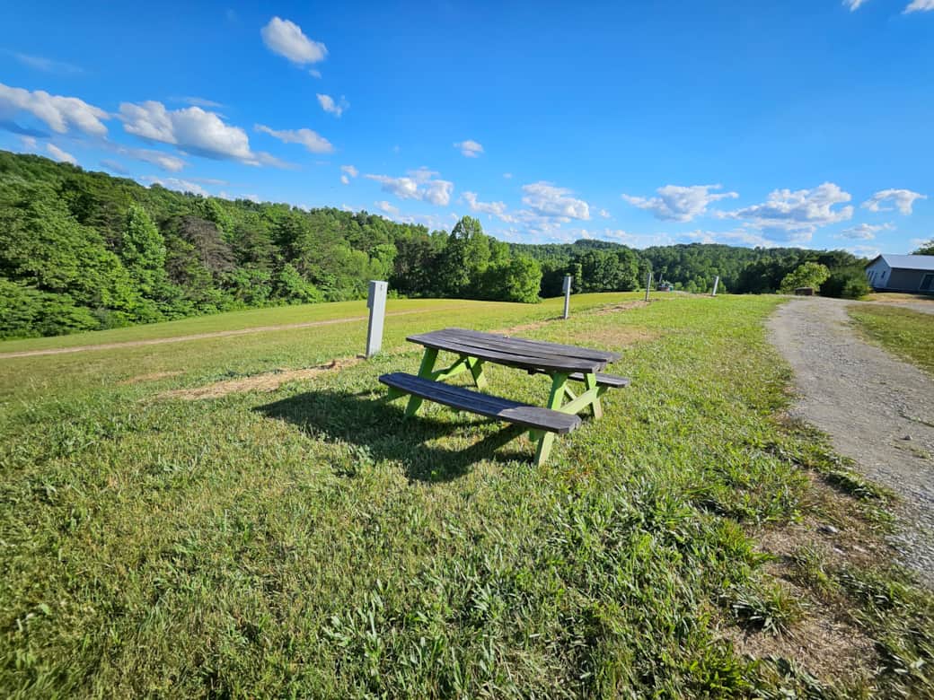Site 4