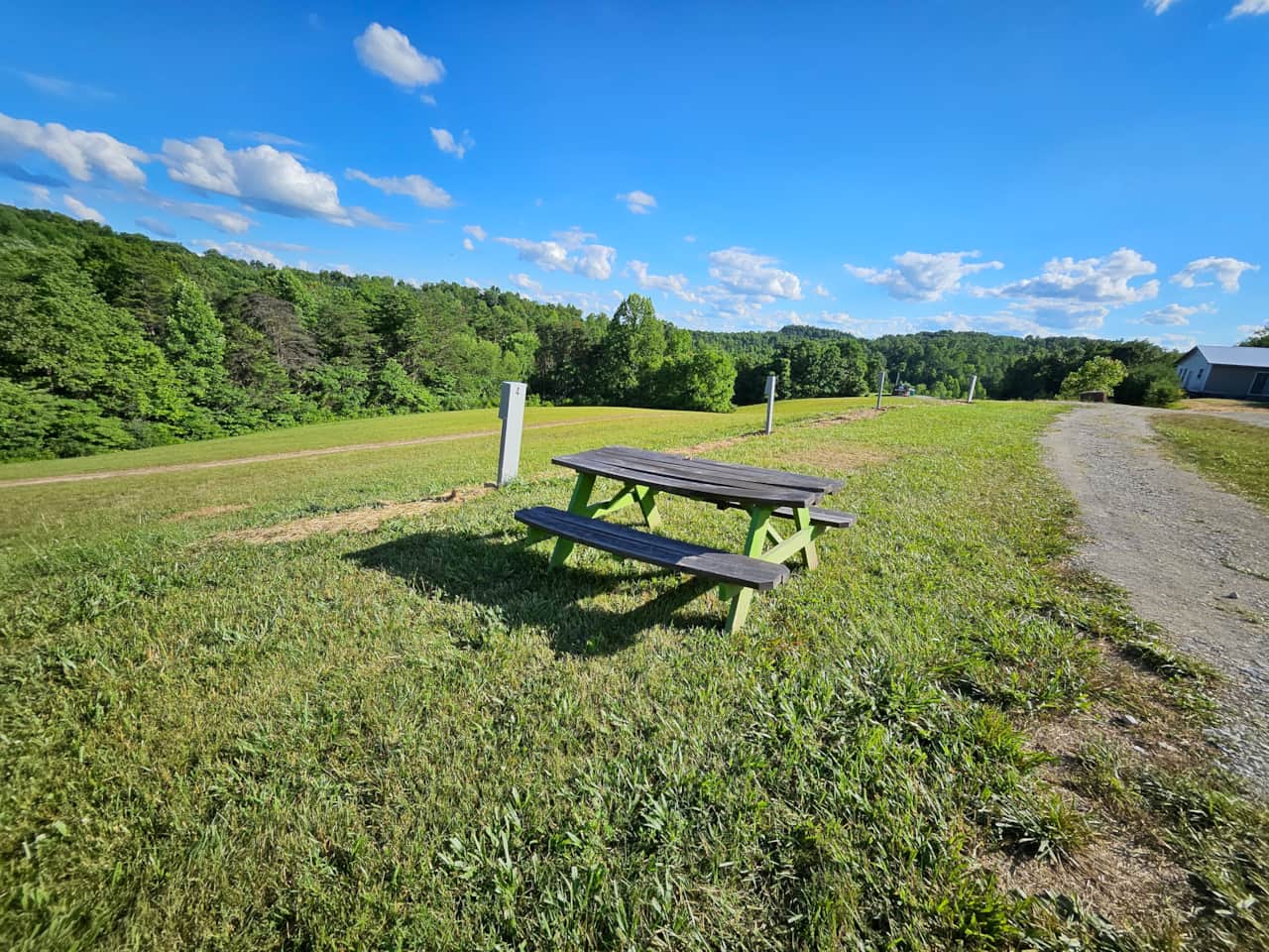 Site 4