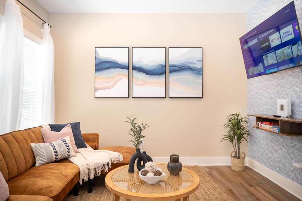 Living Room / Futon Couch