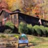 Rental image