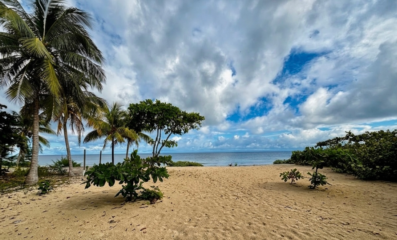 Quatro Vista Oceanfront Area