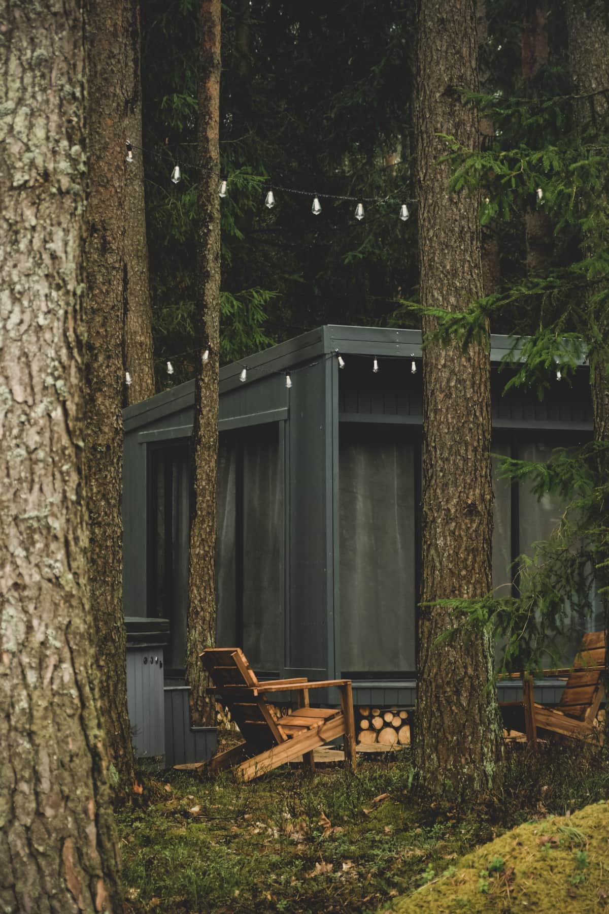 Forest therapy under the fir tree