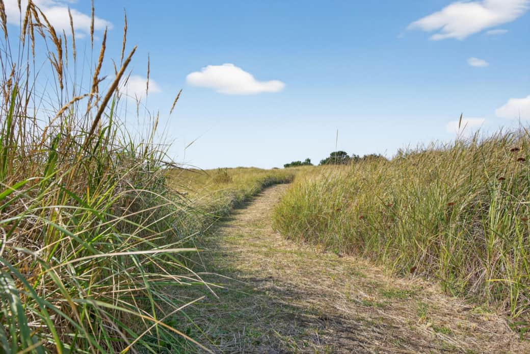 Through the dunes