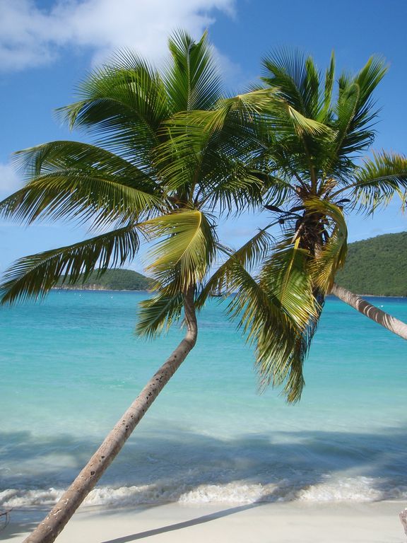 Maho & Cinnamon Bays less than a 5 minute drive from the villa!