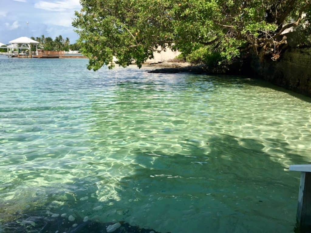 Pristine sea