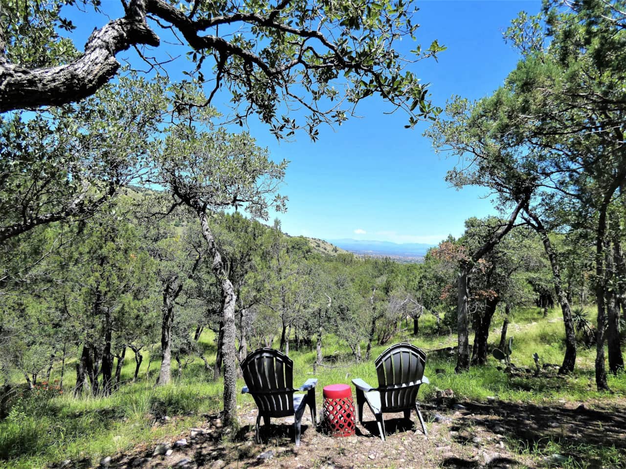 Beautiful views of Sierra Vista and Dragoon Mountains in the distance from the Valley View trail.