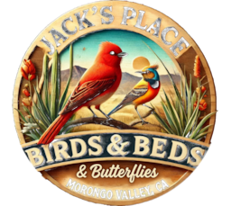 Jack's Place ~ BIRDS & BEDS