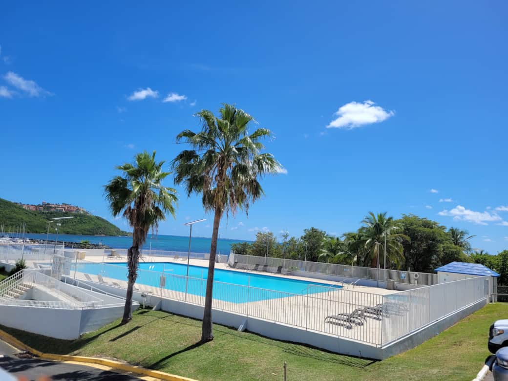 Salt Water Olympic Size Pool