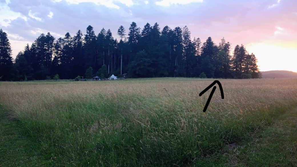 Du stehst dort wo der Pfeil hinzeigt Du stehst dort wo der Pfeil hinzeigt