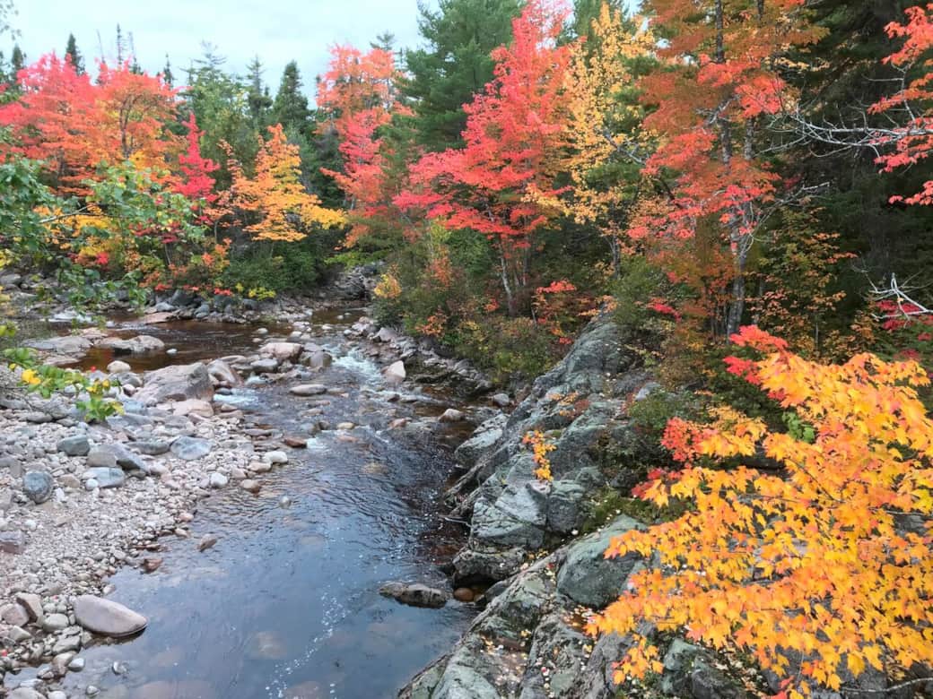 When Hiking through out the various trails there is so much beauty to see .