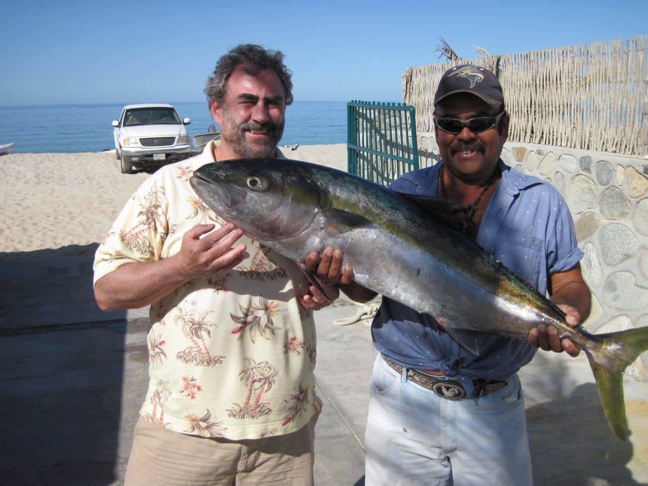 Yellow Fin Tuna - Fantastic Fight