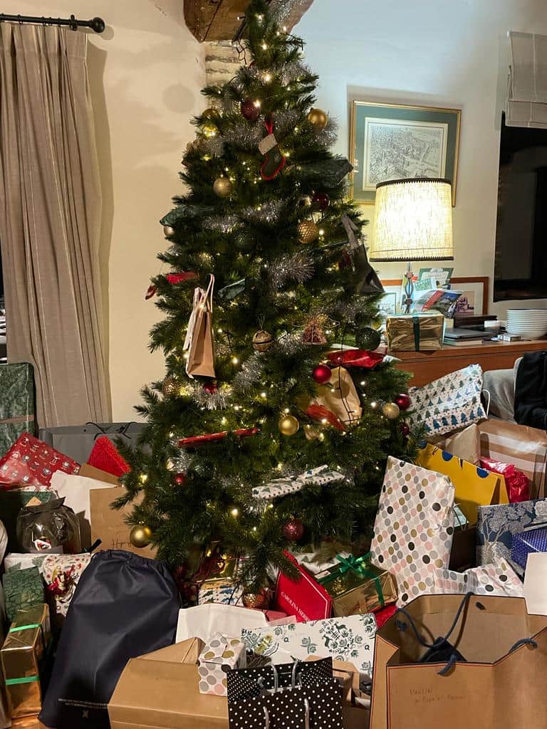 Enjoy Christmas at the house (Christmas tree included, presents are Santa's responsibility)