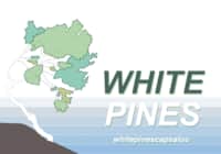 White Pines