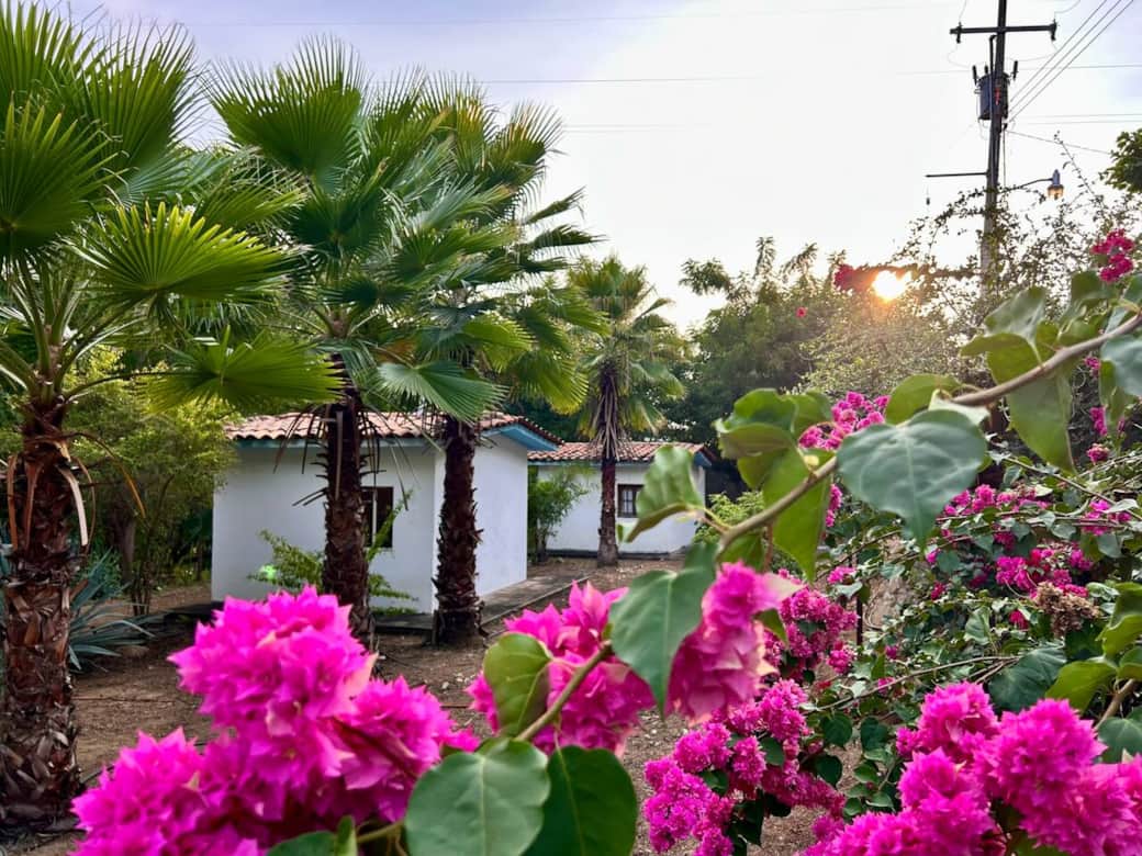 Bugambilias rosadas enmarcan la escena, palmeras que se alzan al horizonte, dos casitas tranquilas y un sol que se despide pintando la Costa Chica con tonos dorados y mágicos.