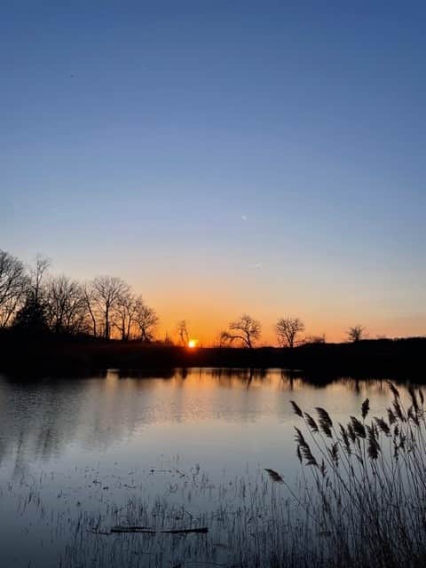 Sunsets are directly behind house. Can be seen from screened in porch.