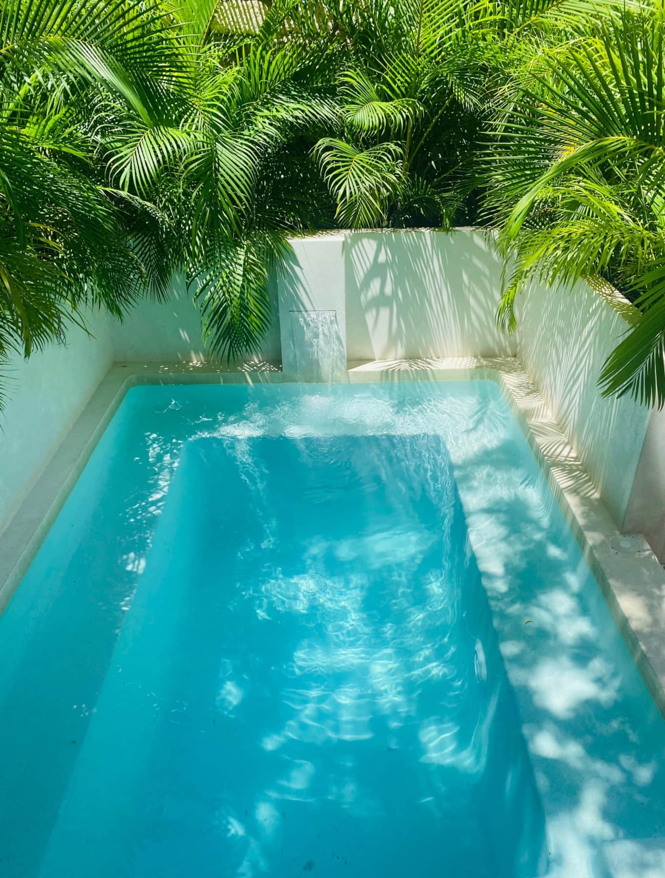 Palm Villa Private Plunge Pool.jpg