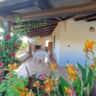 Immagine dell'alloggio