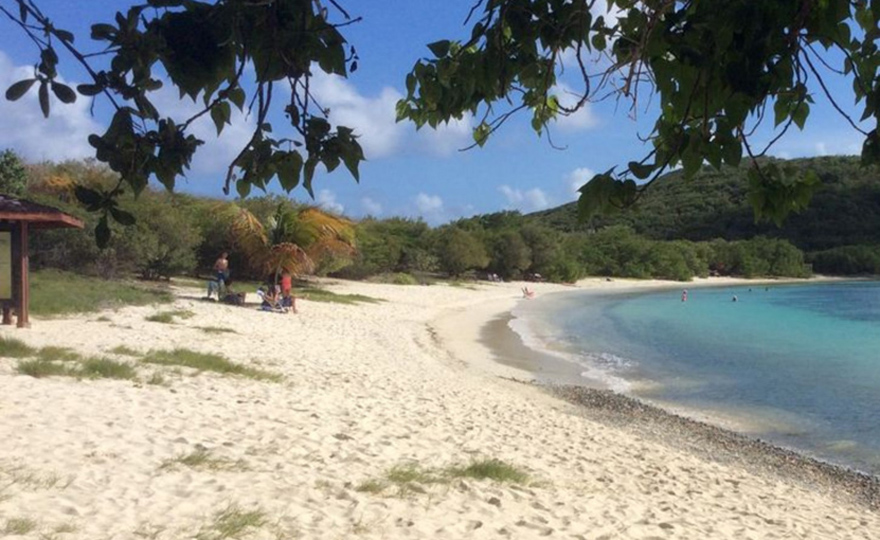 Salt Pond Bay 15 Minute Walk From The Cottage!