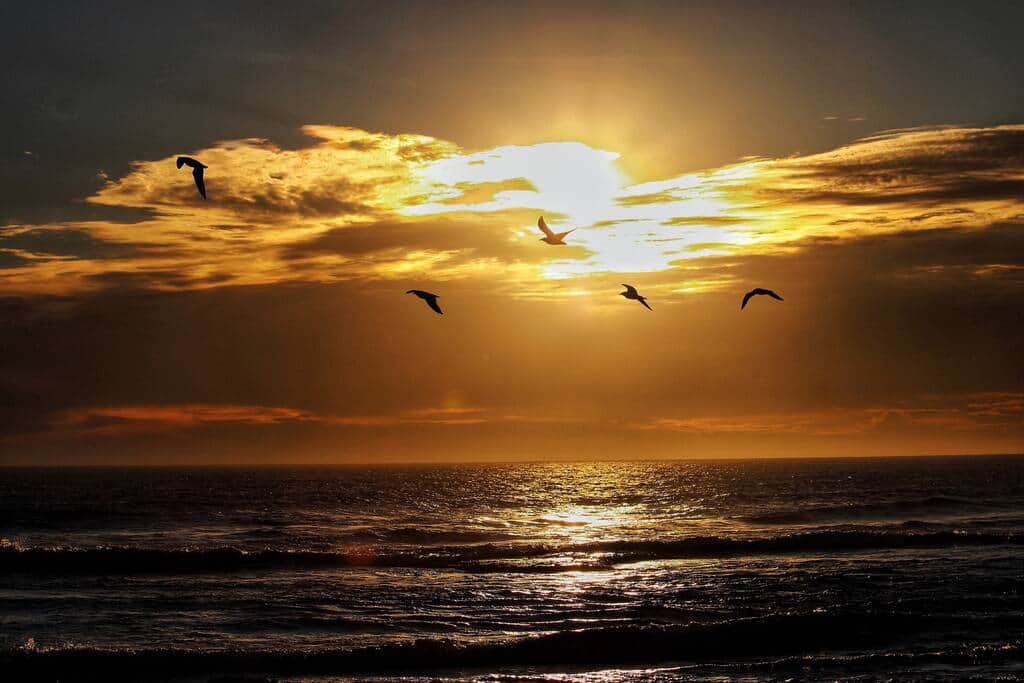 Enjoy fish and chips whilst watching amazing sunsets over the water