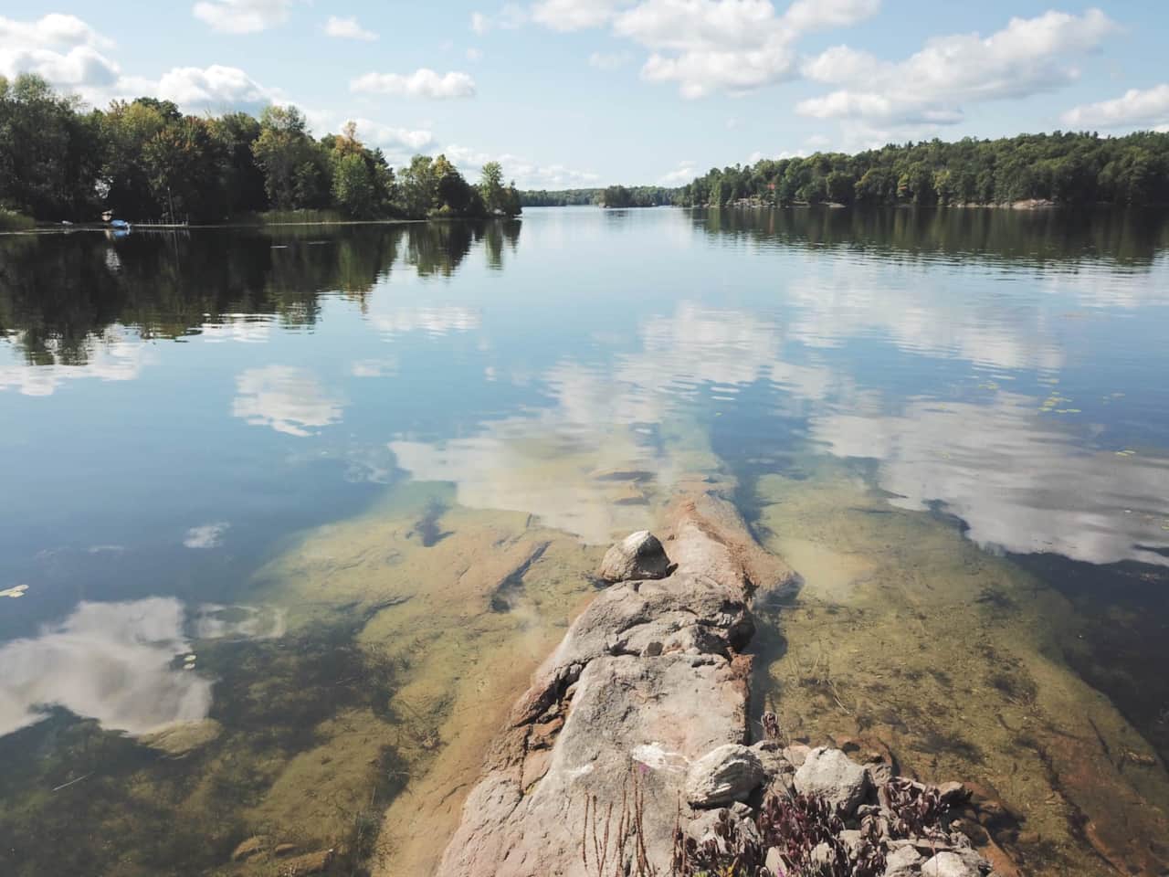Swimming rock