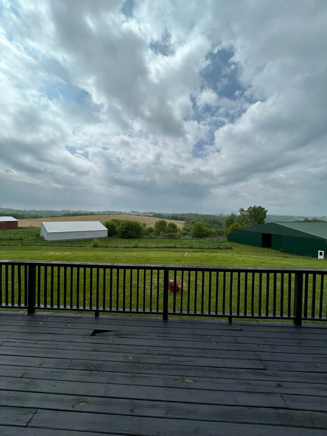 Backyard 1