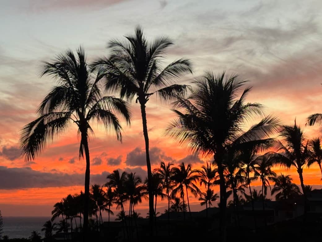 Can you get enough of this? Can you get enough of this?