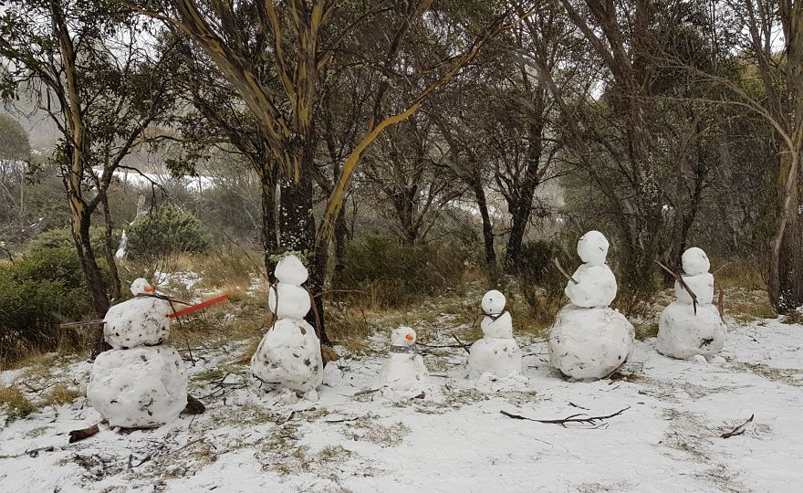 First time to the snow Thredbo