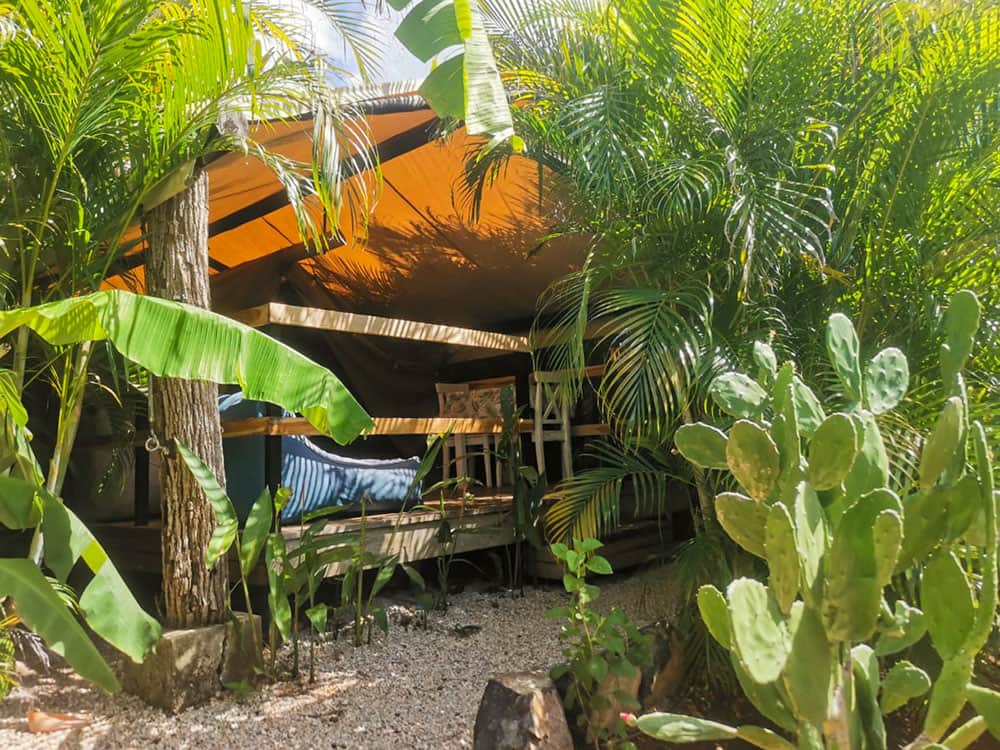 Glamping costa rica flor y bambu playa grande tienda mariquita 6