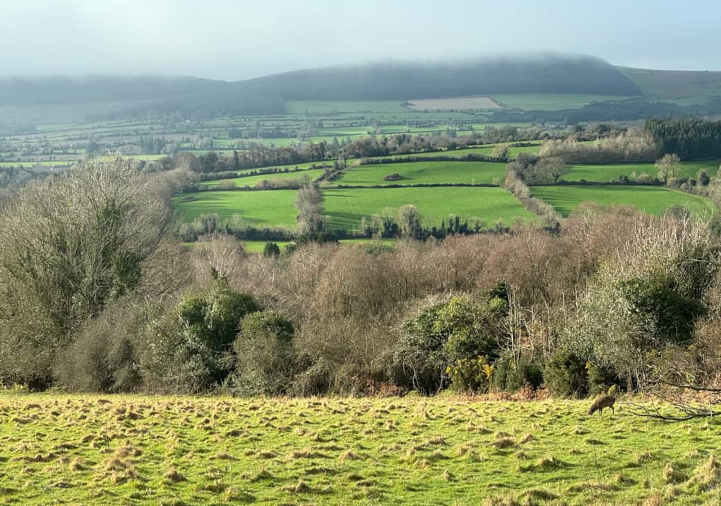 Expansive fields and peaceful horizons – your private escape in County Wicklow