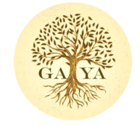 GA-YA LGF