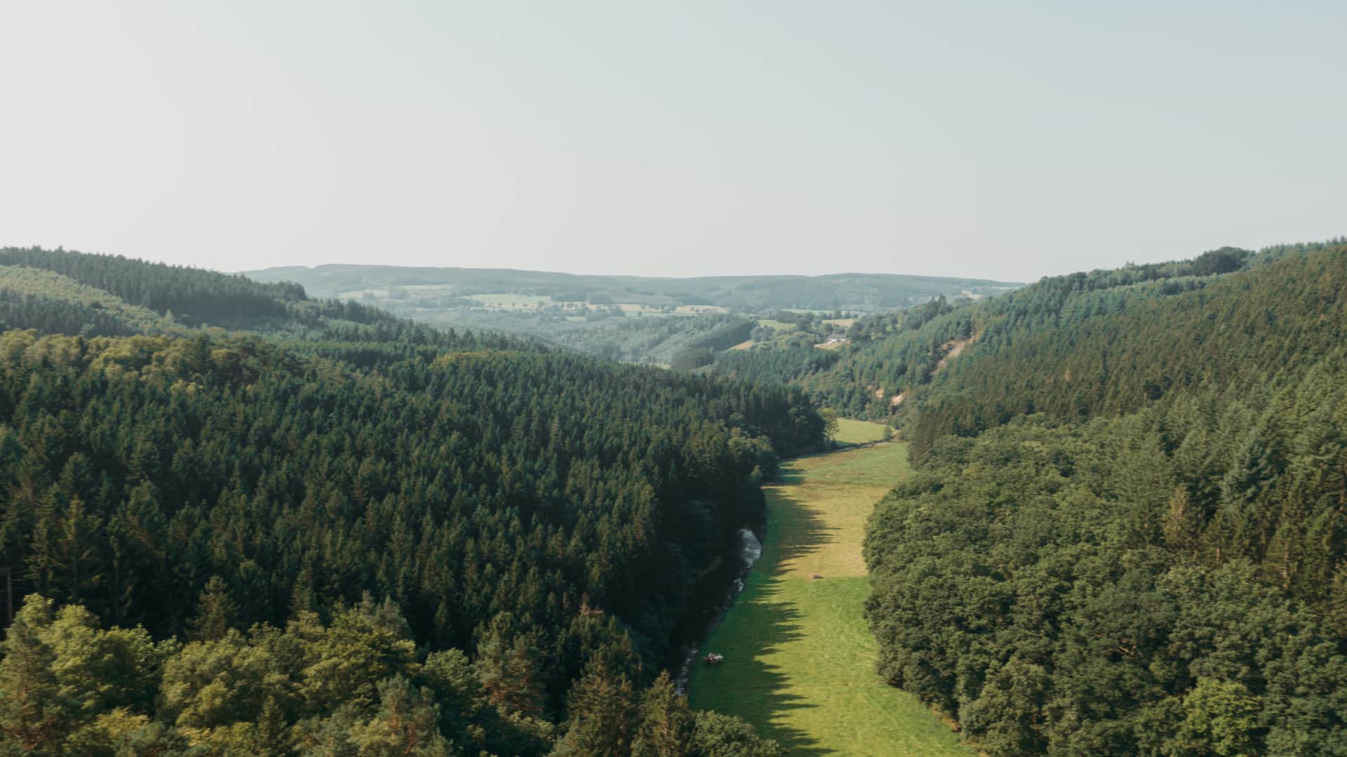 Forest landscape in the Belgian Ardennes near Malmedy