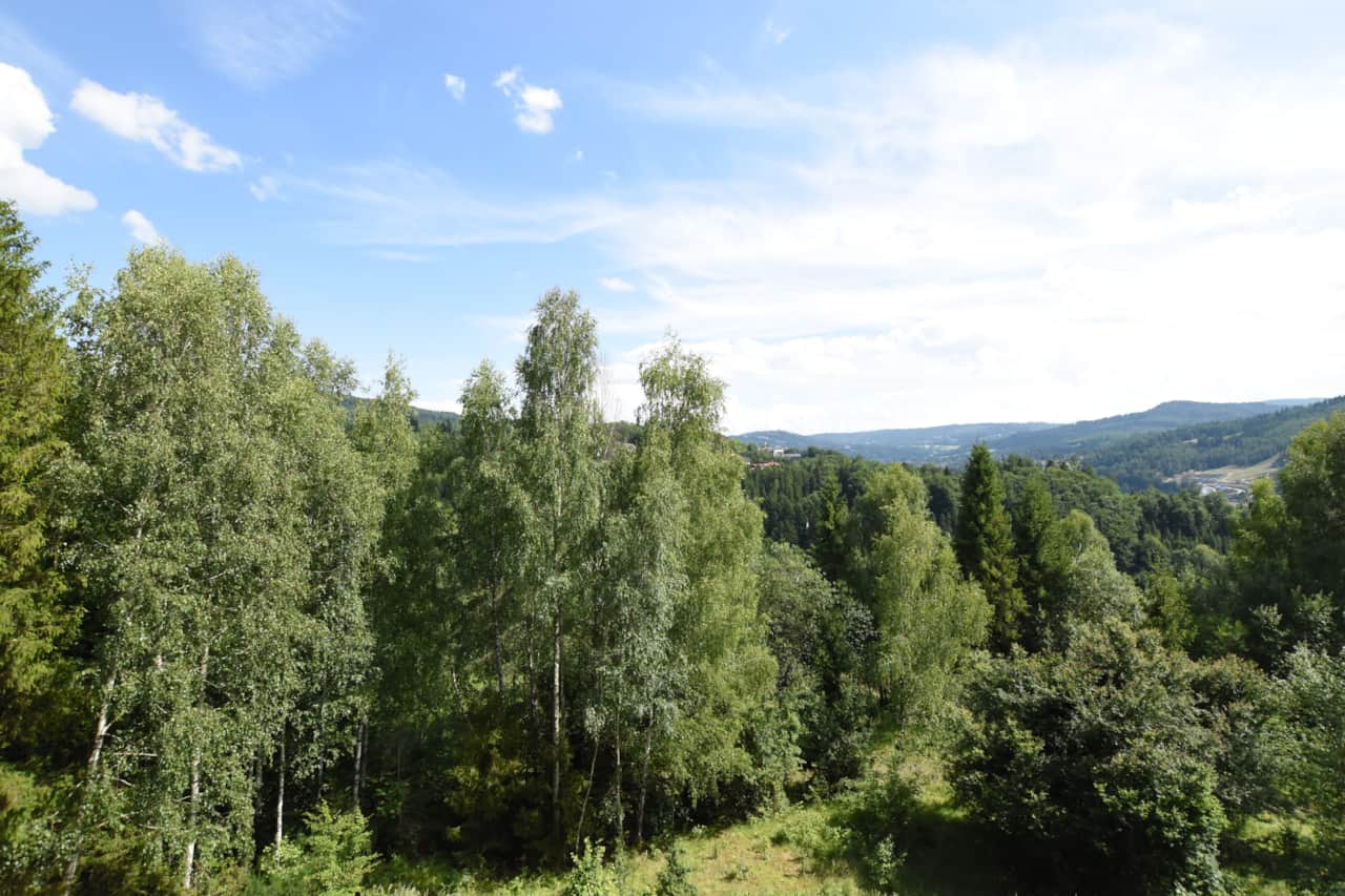 View from the balcony