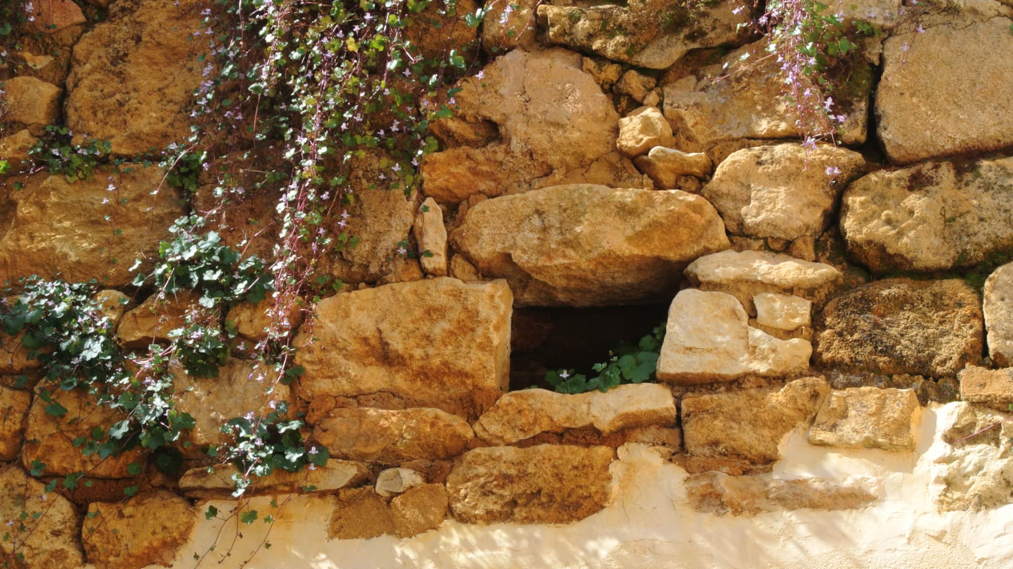 https://l.icdbcdn.com/oh/a6d28a6a-ac0d-47ca-b598-9d1b782f3611.jpg?w=2080-3