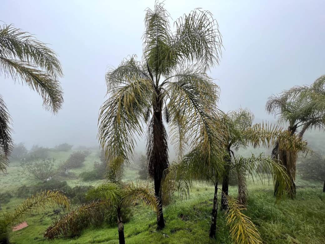 Bf3c4892 6dd3 4e09 a08b 7e95e95383b9 Bf3c4892 6dd3 4e09 a08b 7e95e95383b9