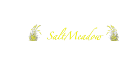 SaltMeadow House Rentals