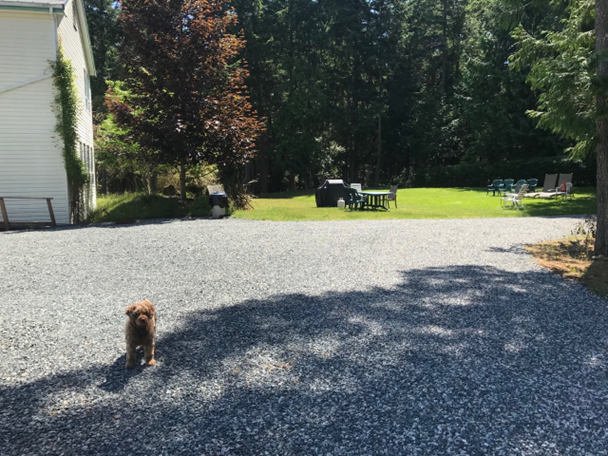 Front Yard