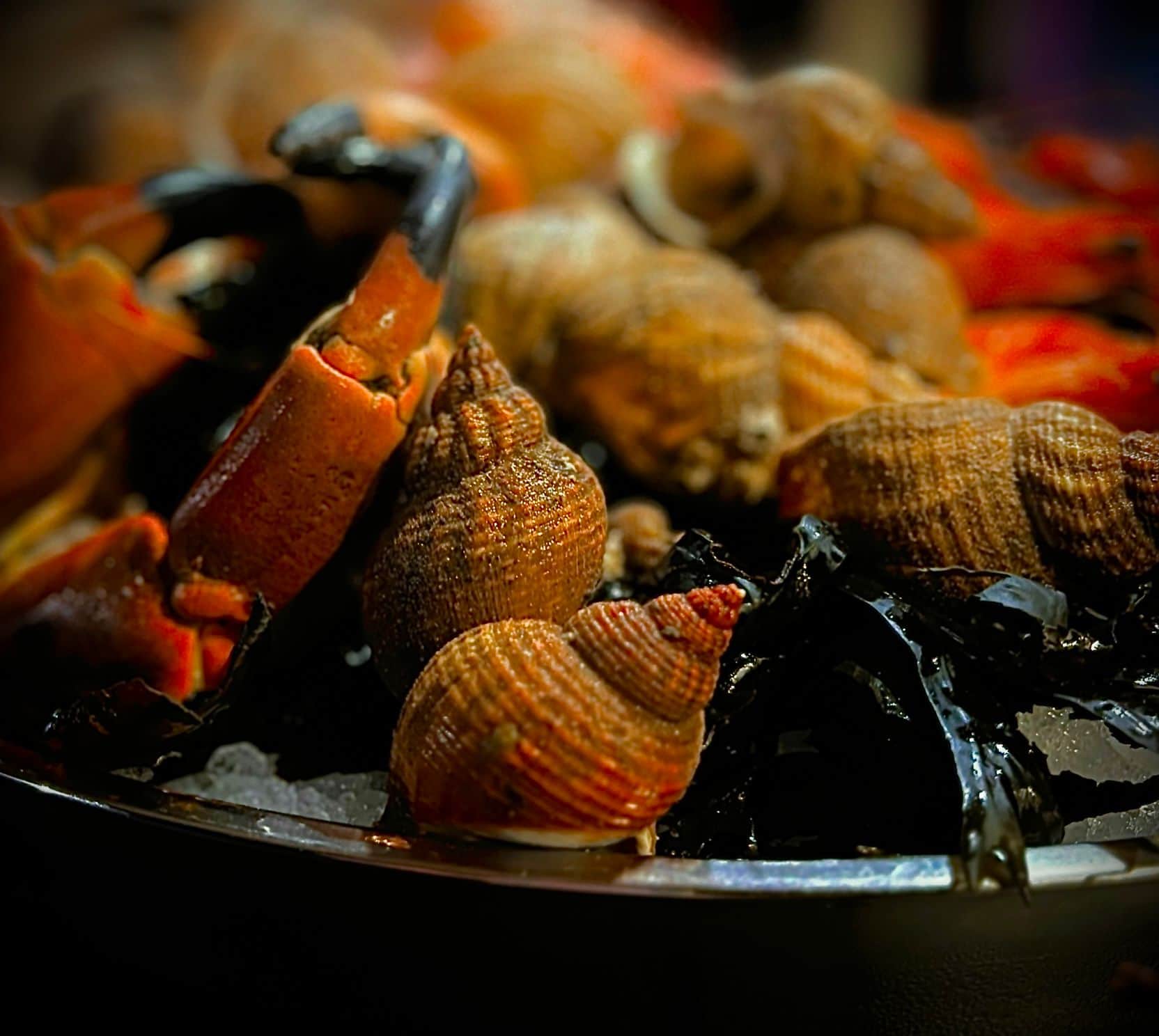 Plateau de Fruits de Mer en saison